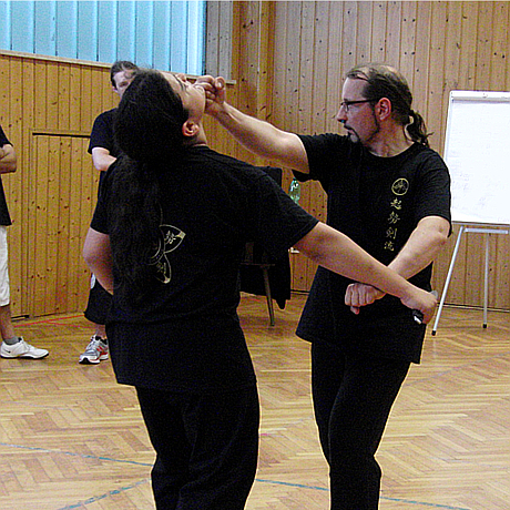 Kampfkunst Demonstration 5